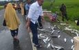 Kabag OPS Polres Aceh Timur Bantu Evakuasi Mobil Bermuatan Ikan Yang Terbalik.