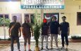 Polres Aceh Timur Berhasil Ungkap Kebun Ganja di Peureulak